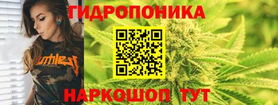 гидра Лесосибирск