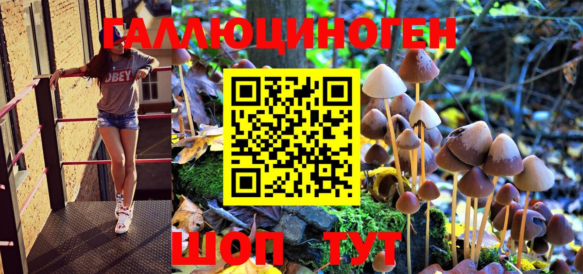 Кизилюрт  Псилоцибиновые грибы Magic Shrooms  Вход с VPN 