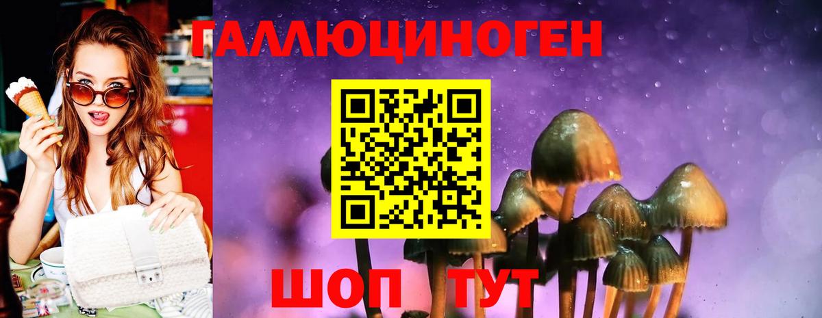 Псилоцибиновые грибы мухоморы Кизилюрт
