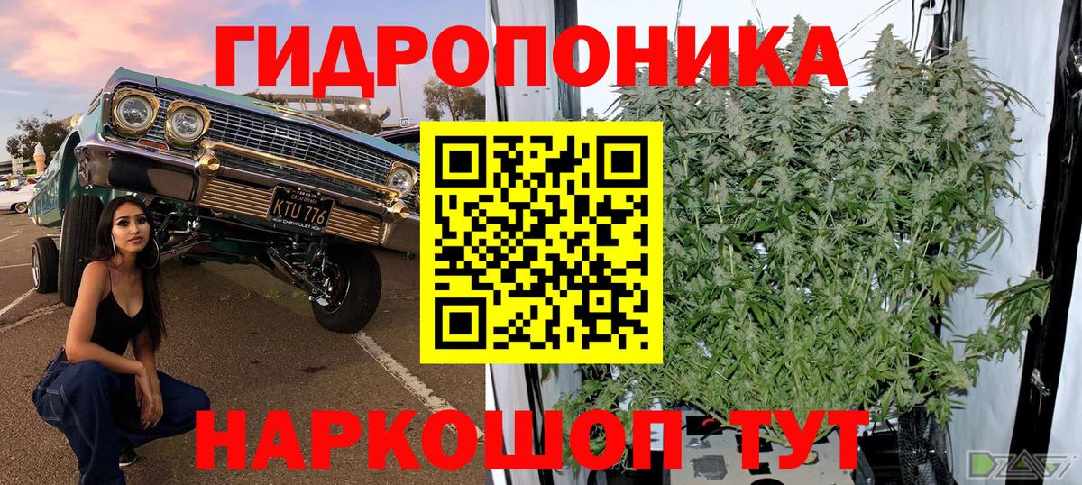Каннабис сатива  Шишки марихуана сатива  Кизилюрт  Вход с VPN  Конопля Amnesia 